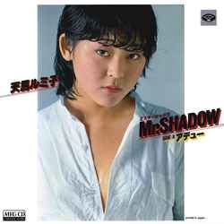 RUMIKO TENMA / 天馬ルミ子 / ミスター・シャドウ［MEG-CD］
