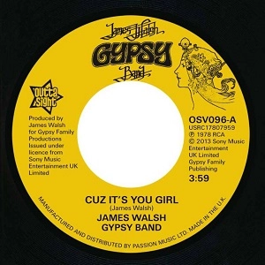 JAMES WALSH GYPSY BAND / ジェイムス・ウォルシュ・ジプシー・バンド / CUZ IT'S YOU GIRL + BRING YOURSELF AROUND