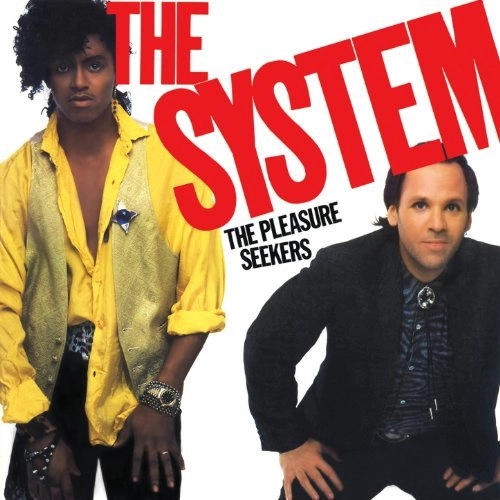 SYSTEM / システム / PLEASURE SEEKERS