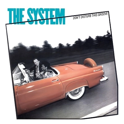 SYSTEM / システム / DON'T DISTURB THIS GROOVE