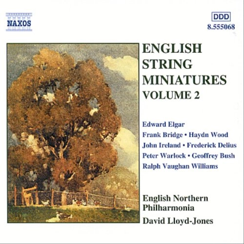 DAVID LLOYD-JONES / デイヴィッド・ロイド=ジョーンズ / ENGLISH STRING MINIATURES2