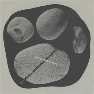 本木良憲 / CHI-CHI-CHI-NNGACAH
