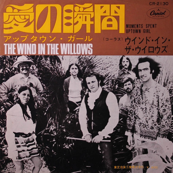WIND IN THE WILLOWS / ウインド・イン・ザ・ウイロウズ / 愛の瞬間 / MOMENTS SPENT
