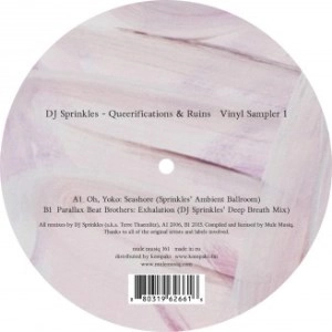 DJ SPRINKLES / DJ スプリンクルズ / QUEERIFICATIONS & RUINS VINYL SAMPLER PT.1
