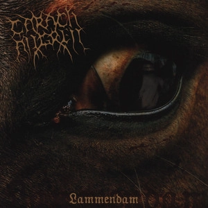 CARACH ANGREN / カラック・アングレン / LAMMENDAM