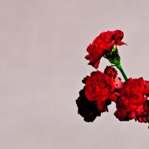 JOHN LEGEND / ジョン・レジェンド / ラブ･イン･ザ･フューチャー