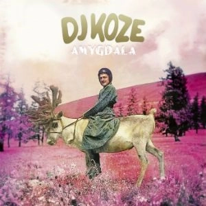 DJ KOZE / DJコーツェ / AMYGDALA