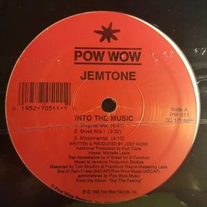 JEMTONE / INTO THE MUSIC