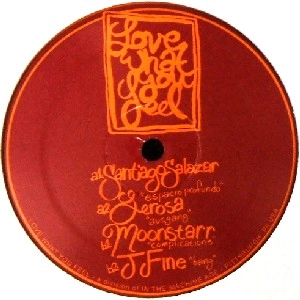 V.A.(SANTIAGO SALAZAR,LEROSA,MOONSTARR...)  / LOVE WHAT YOU FEEL 005