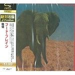 FOOD BRAIN / フード・ブレイン / 晩餐