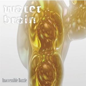 WATER BRAIN / INACCESSIBLE DAZZLE