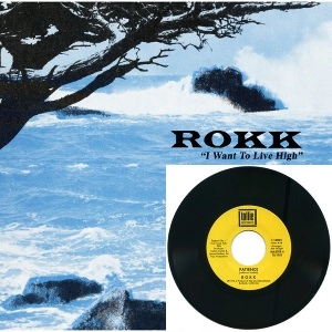 ROKK / I WANT TO LIVE HIGH + PATIENCE 7"