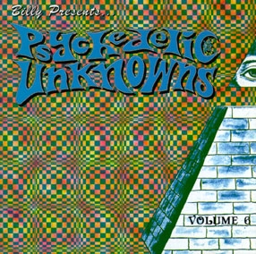 V.A. (PSYCHE) / PSYCHEDELIC UNKNOWNS VOL. 06