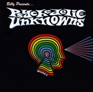 V.A. (PSYCHE) / PSYCHEDELIC UNKNOWNS VOL. 08