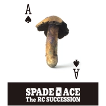 RC SUCCESSION / RCサクセション / スペードのエース（Ｂｌｕ－ｒａ