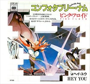 PINK FLOYD / ピンク・フロイド / コンフォタブリー･ナム
