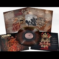 INSANITY / DEATH AFTER DEATH<COLOR VINYL>