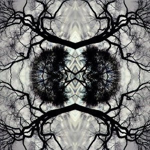 ADAM RUDOLPH / アダム・ルドルフ / SONIC MANDALA GO: OORGANIC ORCHESTRA