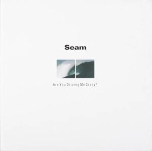 SEAM / ARE YOU DRIVING ME CRAZY?