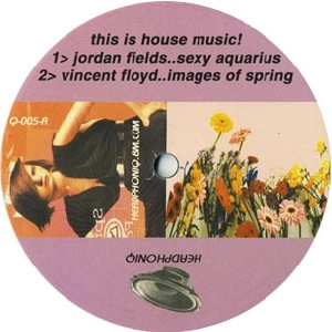 V.A.(JORDAN FIELDS,VINCENT FLOYD,GLENN UNDERGROUND...) / THIS IS HOUSE MUSIC