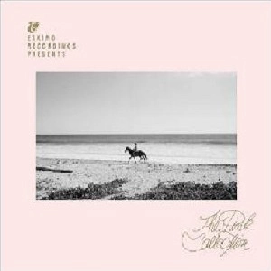 V.A.(HOLY MODELS,SATIN JACKETS,BRYNJOLFUR...)  / ESKIMO RECORDINGS PRESENTS PINK COLLECTION