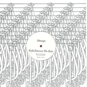 DITONGO / WALK BETWEEN THE RAIN