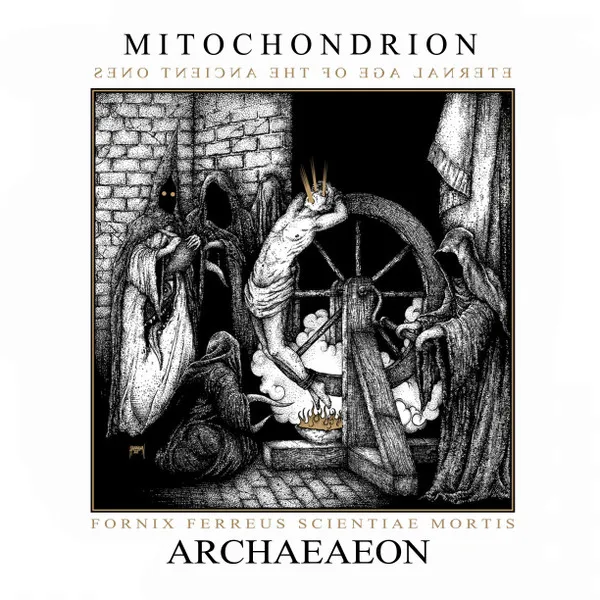 MITOCHONDRION / ARCHAEAEON