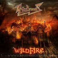 AFTERDREAMS / WILDFIRE