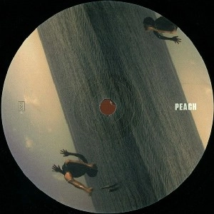CROMIE & SAGE CASWELL / VINES/PYREX