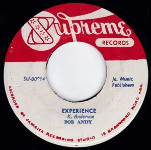 BOB ANDY / ボブ・アンディ / EXPERIENCE