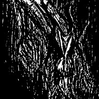 VLAD TEPES / MORTE LUNE
