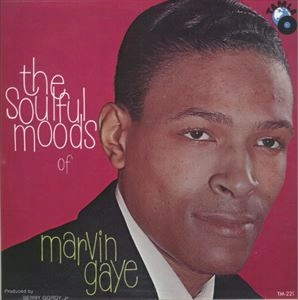 MARVIN GAYE / マーヴィン・ゲイ / THE SOULFUL MOODS OF MARVIN GAYE (WHITE LABEL)