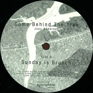 JOEY ANDERSON / ジョイ・アンダーソン / COME BEHIND THE TREE