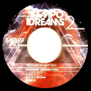 STARSHIP CONNECTION / K-MAXX / TASTE OF TEMPO DREAMS VOL.2 / 2 TASTE OF TEMPO DREAMS