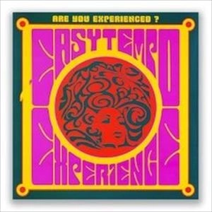V.A. / オムニバス / EASY TEMPO EXPERIENCED