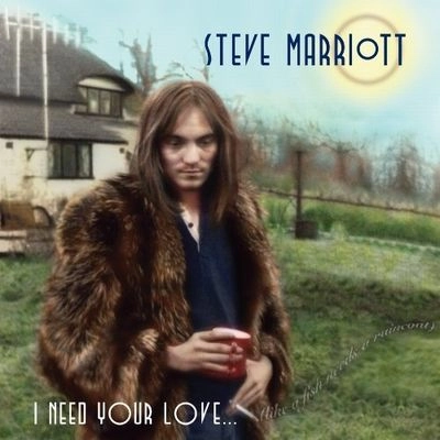 STEVE MARRIOTT / スティーヴ・マリオット / I NEED YOUR LOVE ……(LIKE A FISH NEEDS A RAINCOAT) 1962-1991