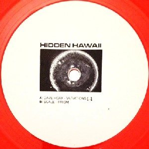 DAVE HOAX & SCALE / HIDDEN HAWAII LTD.9