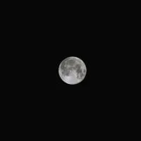 MOON PHAMTOMS / MOON PHAMTOMS