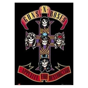 GUNS N' ROSES / ガンズ・アンド・ローゼズ / GUNS N ROSES  appetite 
