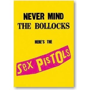 SEX PISTOLS / セックス・ピストルズ / SEX PISTOLS /Never mind