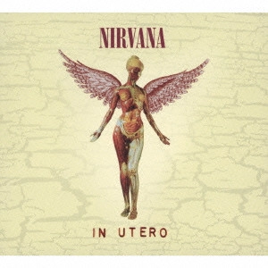 NIRVANA / ニルヴァーナ / イン・ユーテロ(スーパー・デラックス・エディション)(3CD+DVD) / IN UTERO (SUPER DELUXE EDITION)