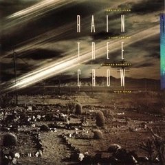 RAIN TREE CROW / レイン・トゥリー・クロウ / レイン･トゥリー･クロウ（紙ジャケット SHM-CD） / RAIN TREE CROW