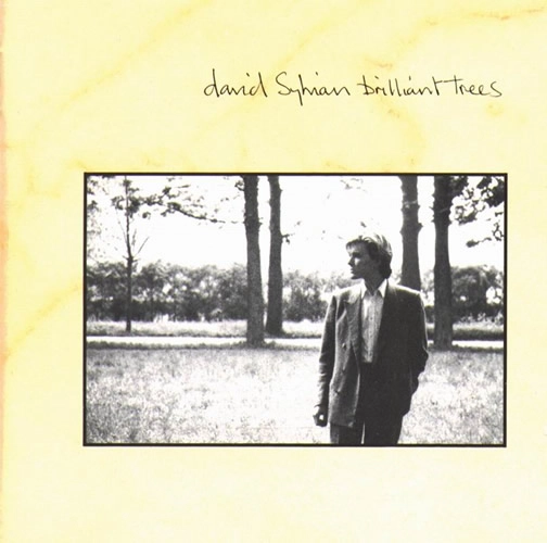 DAVID SYLVIAN / デヴィッド・シルヴィアン / BRILLIANT TREES / ブリリアント･トゥリーズ（紙ジャケット SHM-CD）