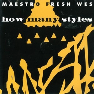 MAESTRO FRESH-WES / HOW MANY STYLES (CDS)