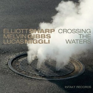 ELLIOTT SHARP / エリオット・シャープ / CROSSING THE WATERS