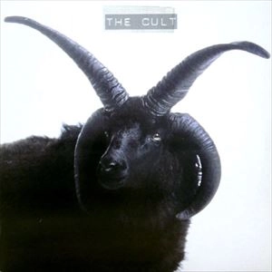 CULT / カルト / CULT