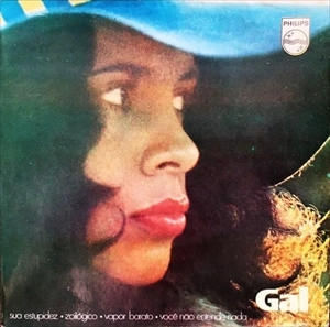 GAL COSTA / ガル・コスタ / SUA ESTUPIDEZ
