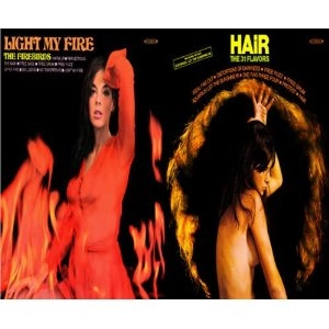 FIREBIRDS / 31 FLAVORS / LOGHT MY FIRE/HAIR