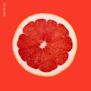 SAVES THE DAY / セイヴス・ザ・デイ / SAVES THE DAY