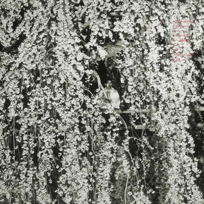 KAN MIKAMI / 三上寛 / 負けるときもあるだろう